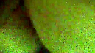 Friends Are Wild In The Night Time