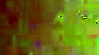 Friends Are Wild In The Night Time