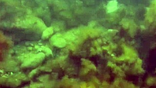 Viděl jsi mě, jak ukazuju chlupatou kundu při plavání?