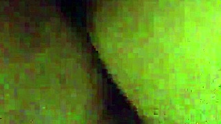 Friends Are Wild In The Night Time