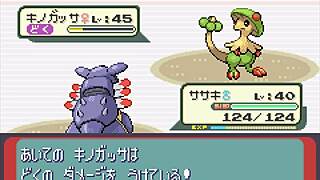 Playing modified Pokemon Sapphire with all Pokemon appearing in part 12