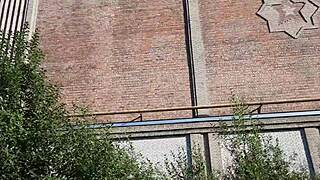 young girl asks, 'want to cast me for creampie outdoors?'