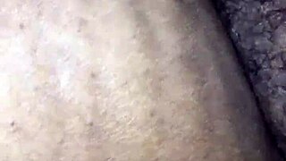 Back Shot While Pounding Pussy