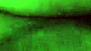 donna enjoys a casual evening at home