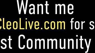 spunky brunette its cleo sucking cock in stockings cowgirl pov riding