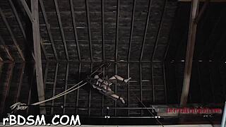 Her collared partner gets her booty fucked then she gets a freaky bitch blowing blowjob