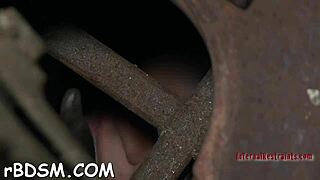 Want To See Intense Whipping Sadomasochism Action