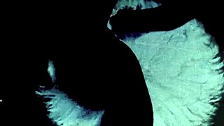 Vintage Scene of Black Pussy and White Cock