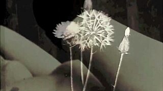 Vintage Scene of Black Pussy and White Cock