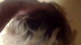 Unexpected Encounter In Abandoned House