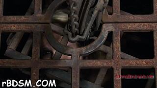 Want To See Intense Whipping Sadomasochism Action