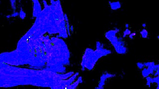 Hot Colombian Lesbian Show in Bogota Night Club! Group Dancing and Swinging!