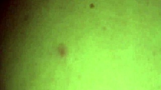 caught with that big black cock