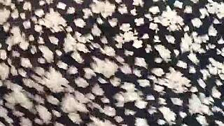 Mix reggaeton 2, teen 18+ dancing on webcam, so provocative!