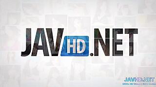 完璧な日本の巨乳がワイルドに揺れる HD vol 15