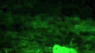 shemale elizabeth plays with her balls at midnight in ritual