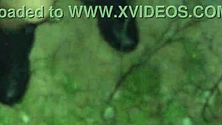 Mother-in-law slut begs for ride, gets big cock to suck and doggystyle 😈