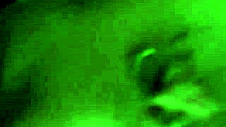 white girls suck lots of dick