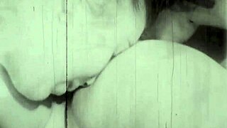 My secret life vintage lesbians