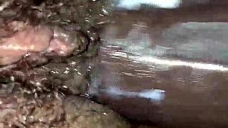 hey, check out this pussy in the trim video!