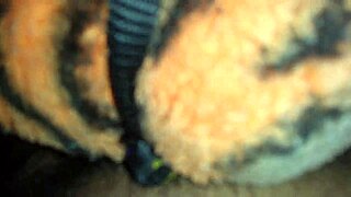 I'm Masturbating With A Toy In This Intense Session