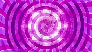 I learn command training basics.