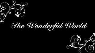 Explore The Wonderful World Of Vintage Pornography