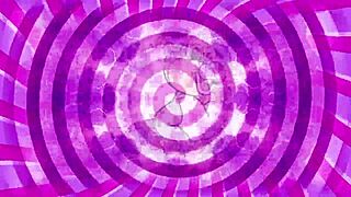 I learn command training basics.