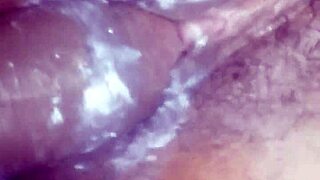 Colombian Screams As I Bury It Deep