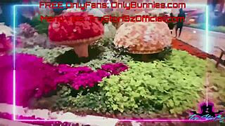 four stunning sluts take on a massive cock in wild pov action