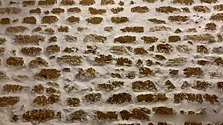 hard rough fucking with tommy cabrio and apolonia lapiedra, wet pussy pounding.