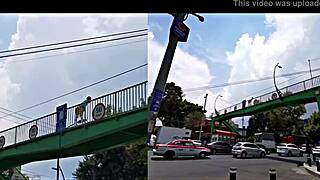 I got offered a job at the exhibit in Tlalpan, Daniela Hot Hyperversos