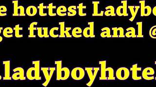 細身のタイレディーボーイボスがポーズ後に激しいアナル突きを受ける