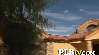 هل جربت تدليك عرقي مختلط حار مع مبادلين؟