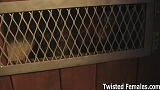 sissy slave humiliated and controlled by two fierce dommes in pov