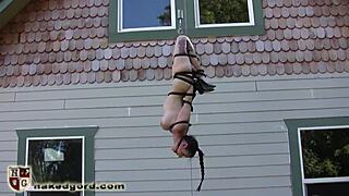 Why is this ballgagged slave dangling in tight bondage submission?