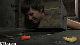 Detailed sadomasochism fetish scenes in porn