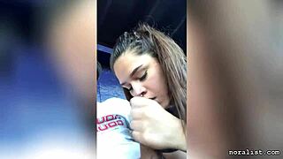Girlfriend gives car blowjob?