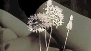 My Secret Life! Vintage English Erotica Unveiled Now!