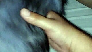 is this horny teen 18+ zorrita rica bent over?