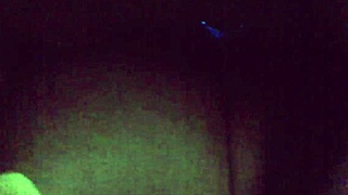 I fucked Lillian from the SGV doggystlye