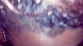 BBC forced itself deep into horny black amateur