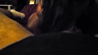 Latina amateur eagerly takes a massive cock