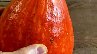 Kinky video of Monster cock penetrates pumpkin