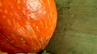 Hey, pumpkin fucker, what’s with that wild insertion toy?