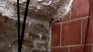 super fashionable fetish toys and latex parties