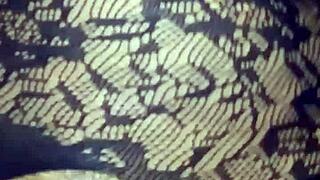 Pussy Licking Only in Close Up POV