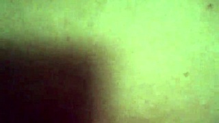 Wife performs mouth to ass to mouth with anal and blowjob