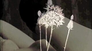 Have You Fantasized About A Vintage Step Sister With Hairy Taboo Acts?