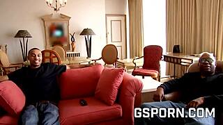 two big black cocks fucking ebony diamond princes hard